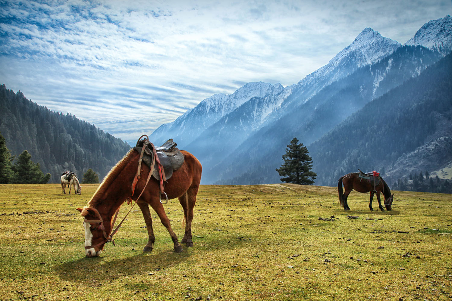 Pahalgam the Valley of Shepherds